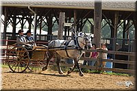 4H-2nd-Show-11_1131.jpg