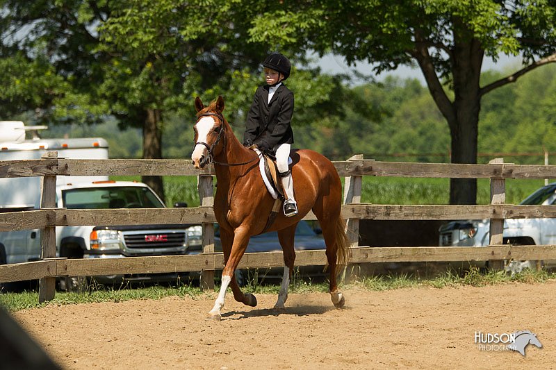 4H-2nd-Show-11_1231.jpg