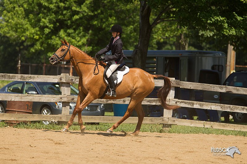 4H-2nd-Show-11_1268.jpg