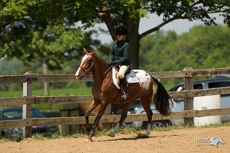 4H-2nd-Show-11_1346.jpg