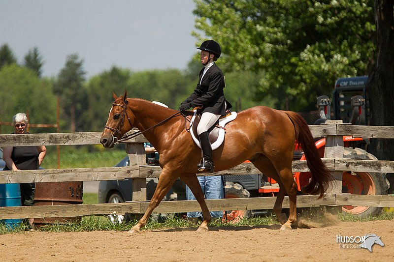 4H-2nd-Show-11_1347.jpg