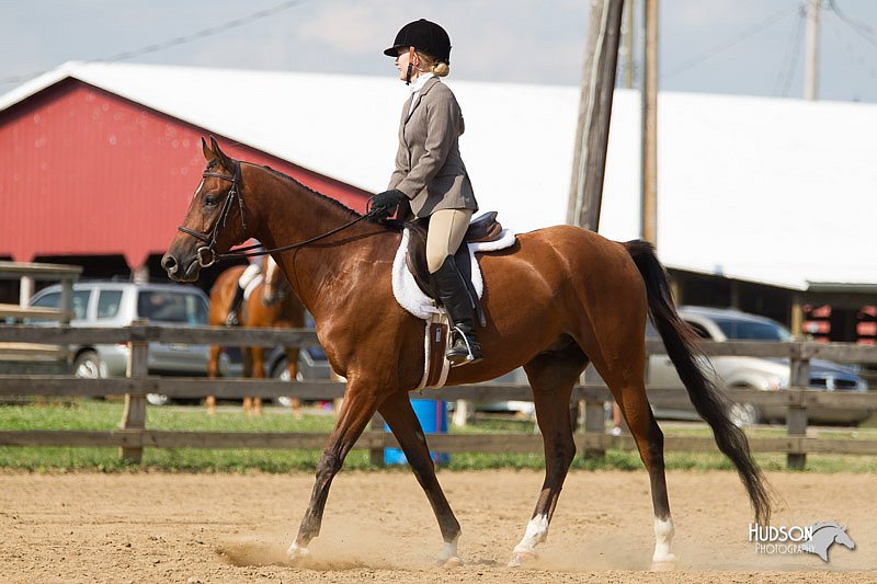 4H-2nd-Show-11_1913.jpg