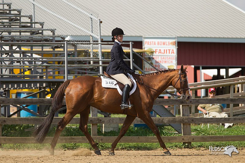 4H-2nd-Show-11_1923.jpg