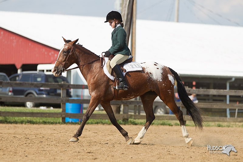 4H-2nd-Show-11_1975.jpg