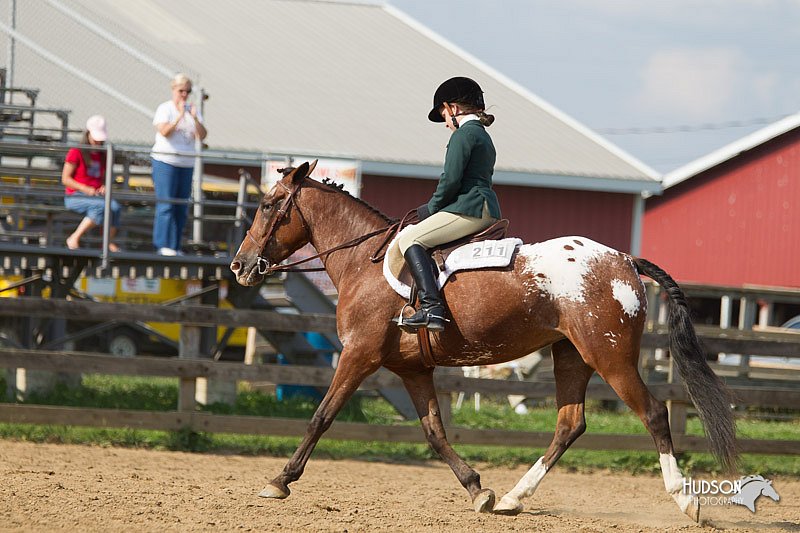 4H-2nd-Show-11_1976.jpg
