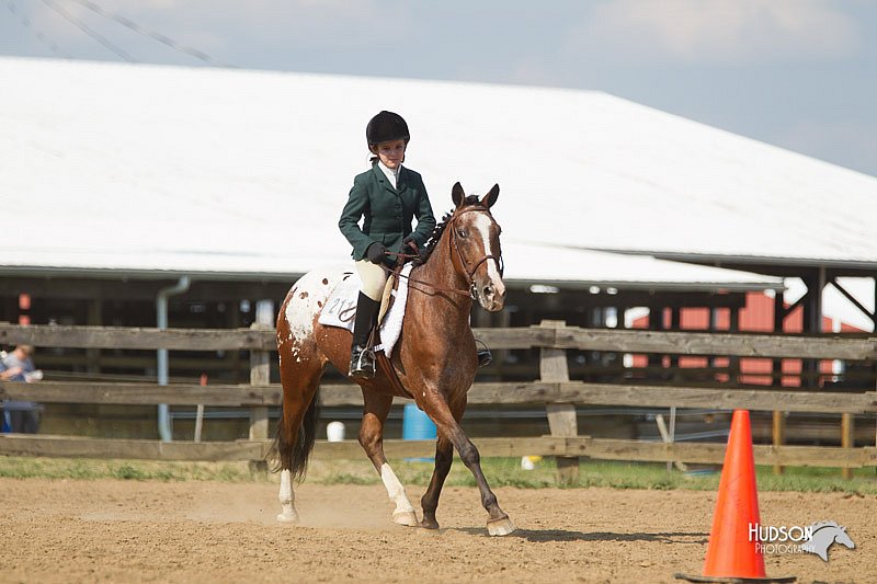4H-2nd-Show-11_1978.jpg