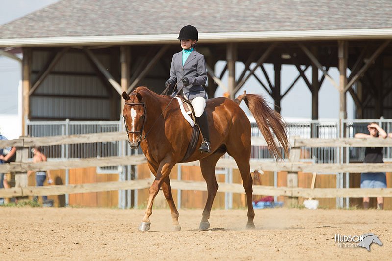 4H-2nd-Show-11_1979.jpg