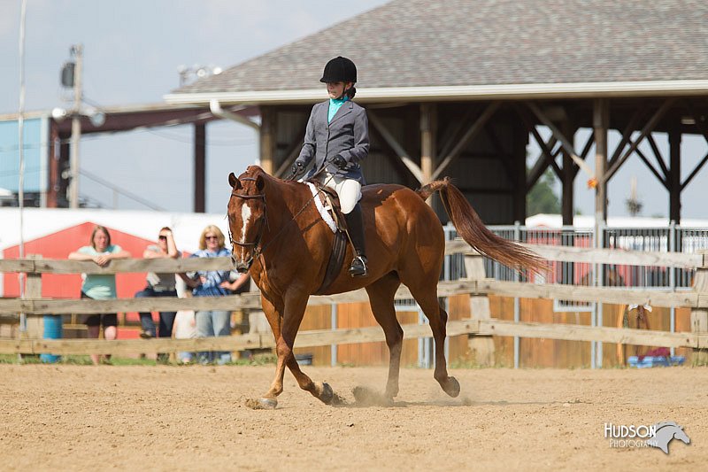 4H-2nd-Show-11_1980.jpg