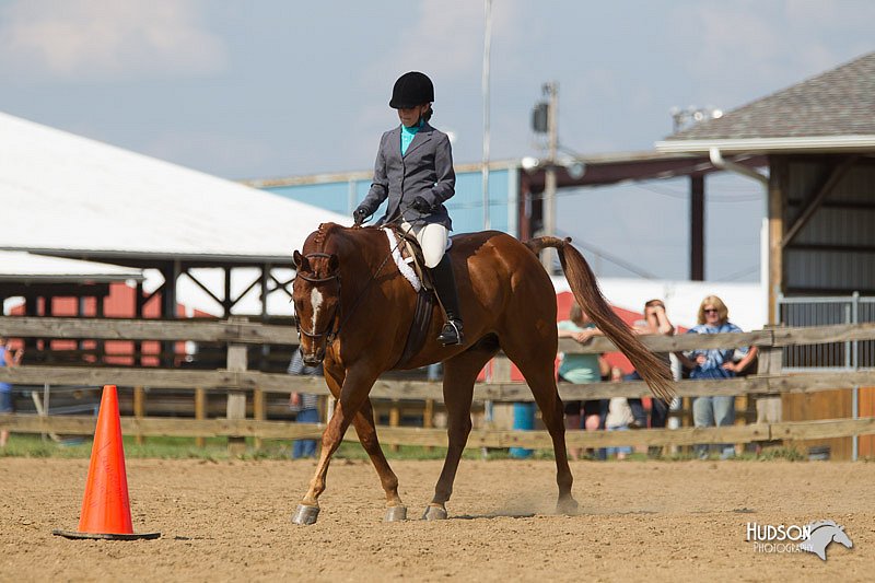 4H-2nd-Show-11_1981.jpg