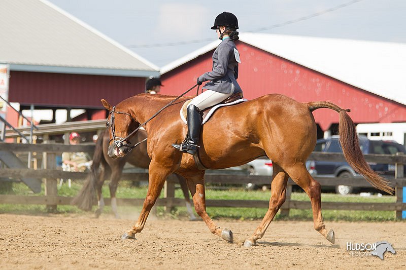 4H-2nd-Show-11_1984.jpg