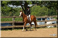 4H-2nd-Show-11_1230.jpg