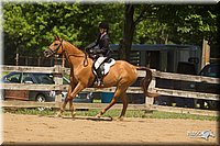 4H-2nd-Show-11_1268.jpg