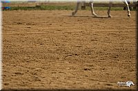4H-2nd-Show-11_1275.jpg