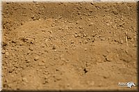 4H-2nd-Show-11_1308.jpg