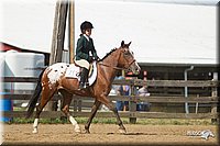 4H-2nd-Show-11_1977.jpg