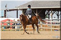 4H-2nd-Show-11_1980.jpg