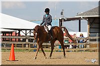 4H-2nd-Show-11_1981.jpg