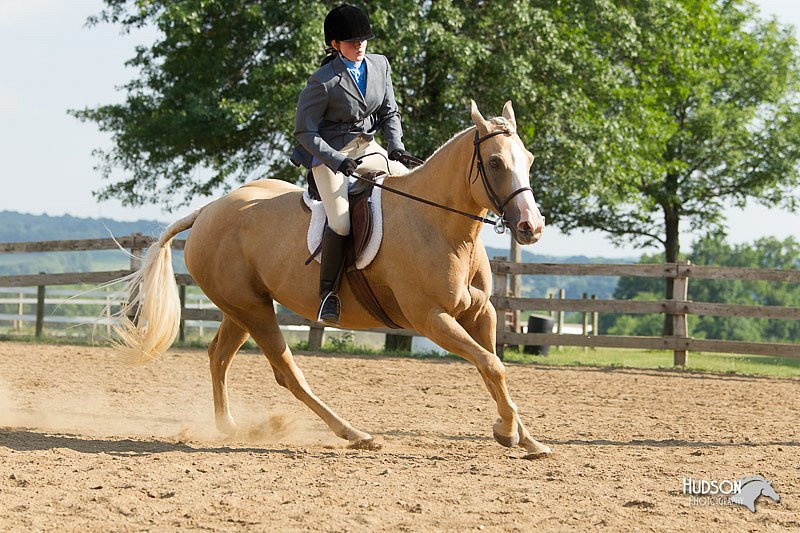 4H-2nd-Show-11_2014.jpg