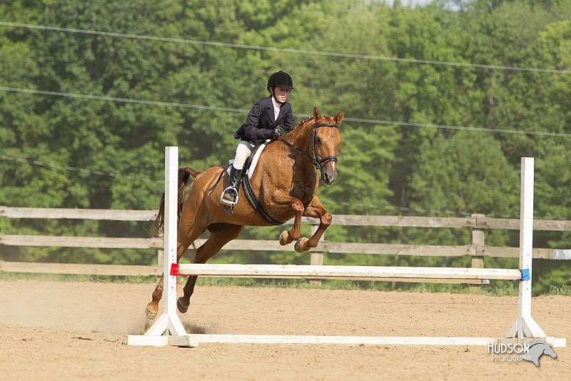 4H-2nd-Show-11_2015.jpg