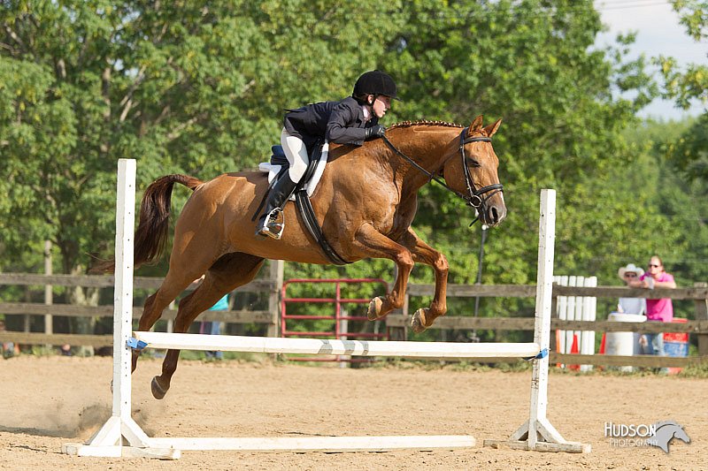 4H-2nd-Show-11_2016.jpg