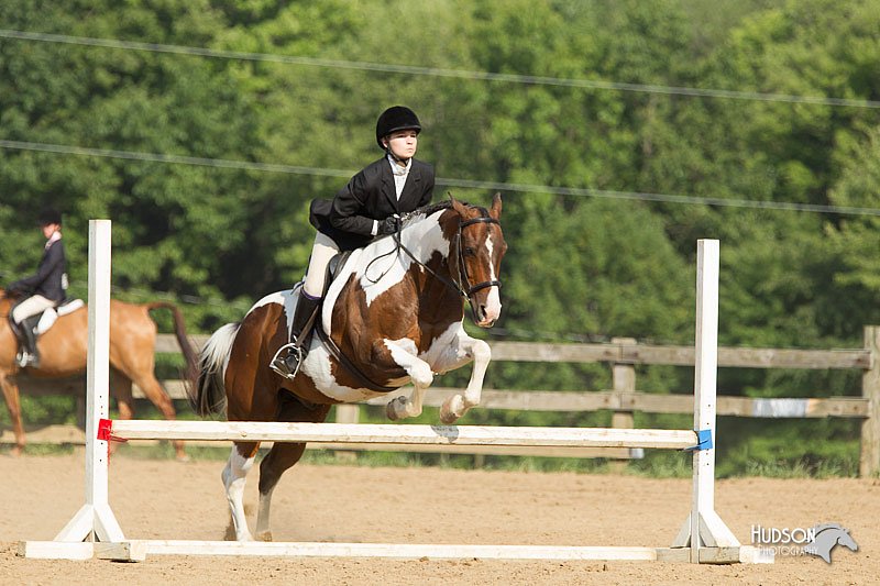 4H-2nd-Show-11_2017.jpg
