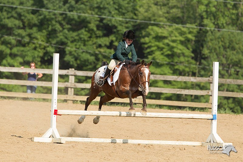4H-2nd-Show-11_2024.jpg
