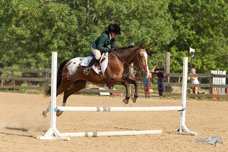 4H-2nd-Show-11_2026.jpg