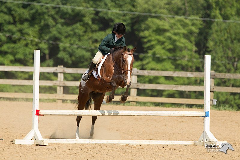 4H-2nd-Show-11_2027.jpg