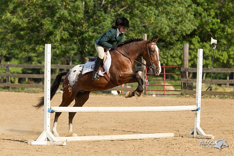 4H-2nd-Show-11_2033.jpg