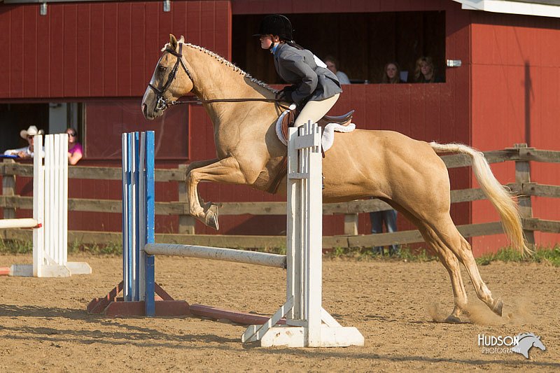4H-2nd-Show-11_2046.jpg
