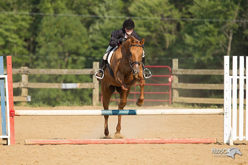 4H-2nd-Show-11_2050.jpg