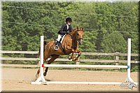 4H-2nd-Show-11_2015.jpg