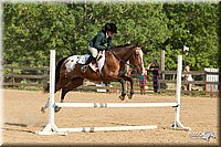 4H-2nd-Show-11_2026.jpg