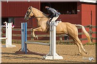 4H-2nd-Show-11_2046.jpg