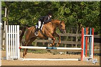 4H-2nd-Show-11_2053.jpg