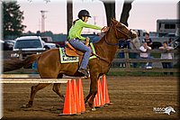4H-2nd-Show-11_0510.jpg