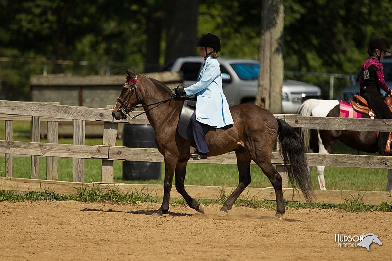 4H-2nd-Show-11_1215.jpg