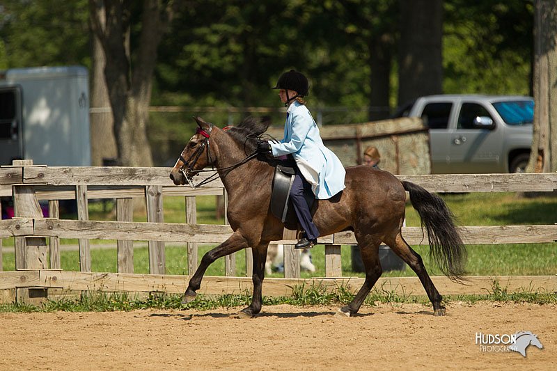 4H-2nd-Show-11_1218.jpg