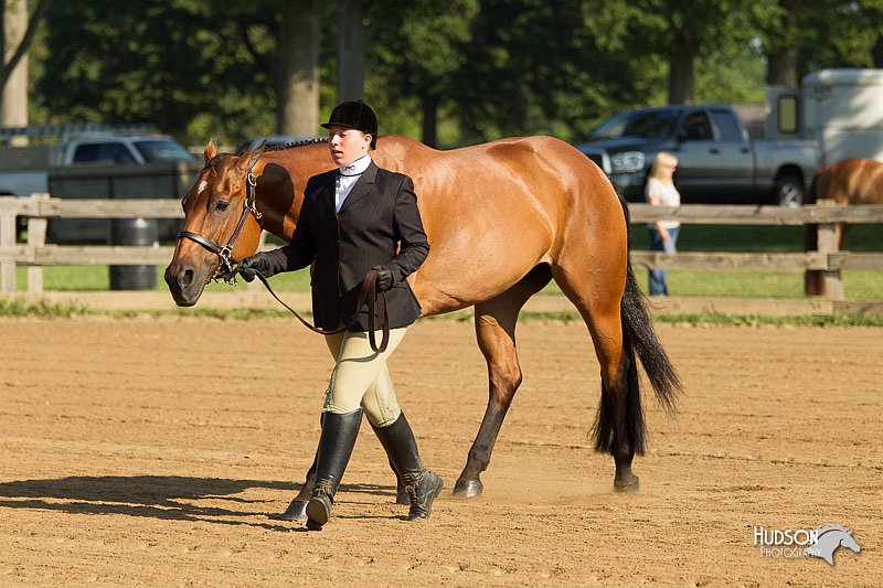 4H-2nd-Show-11_0754.jpg