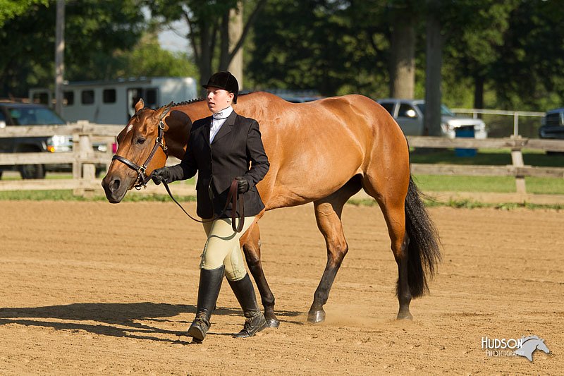 4H-2nd-Show-11_0755.jpg