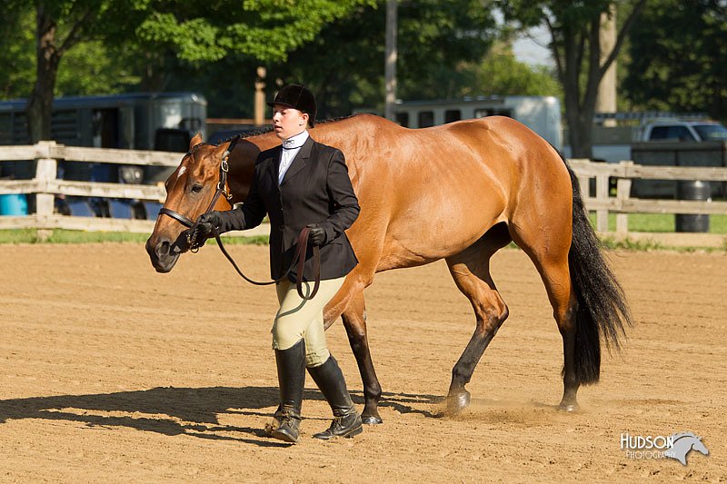 4H-2nd-Show-11_0756.jpg