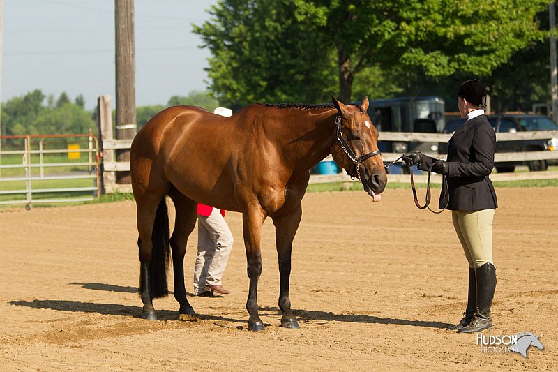 4H-2nd-Show-11_0758.jpg