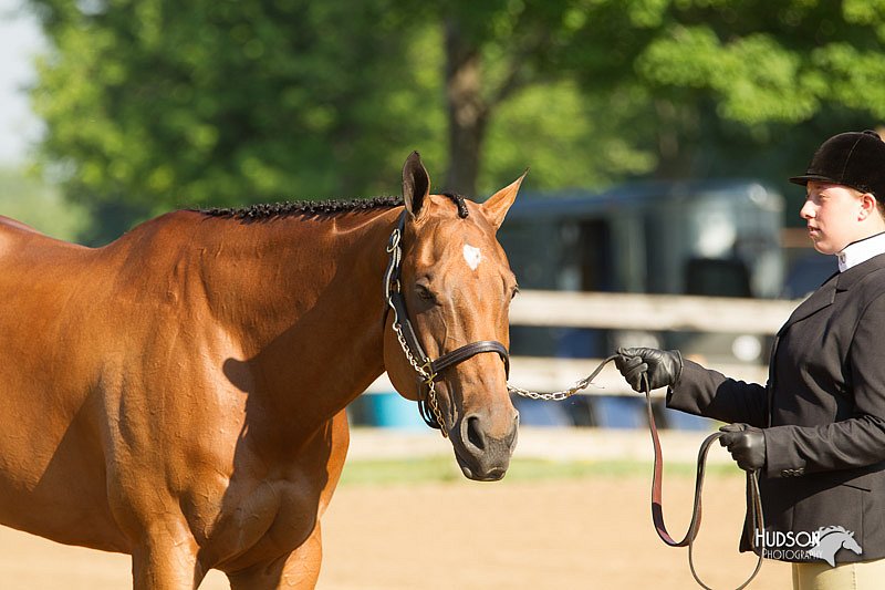 4H-2nd-Show-11_0759.jpg