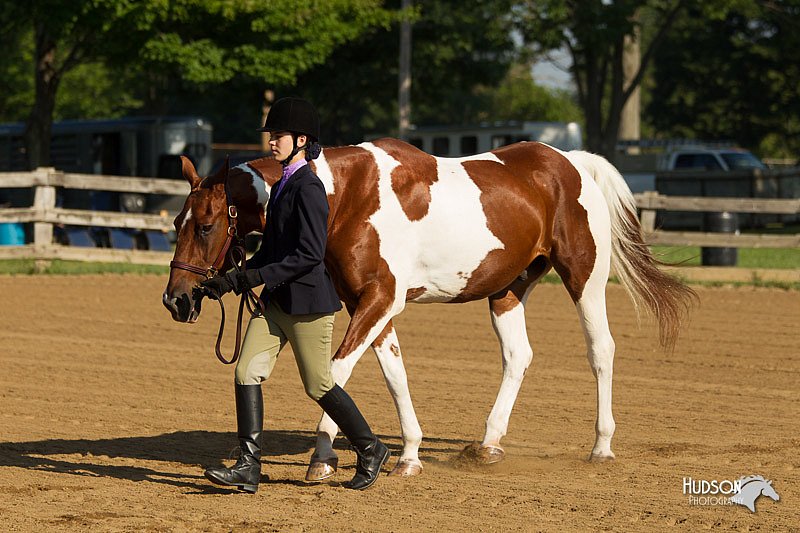 4H-2nd-Show-11_0765.jpg