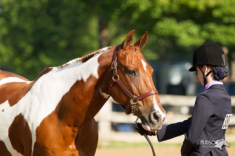 4H-2nd-Show-11_0767.jpg