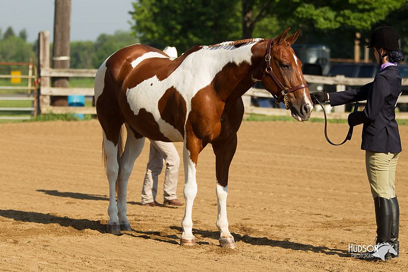 4H-2nd-Show-11_0768.jpg