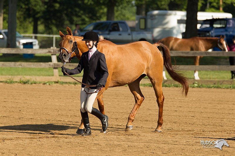 4H-2nd-Show-11_0772.jpg