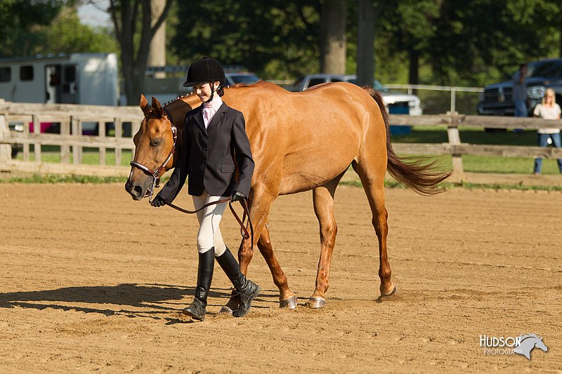 4H-2nd-Show-11_0774.jpg