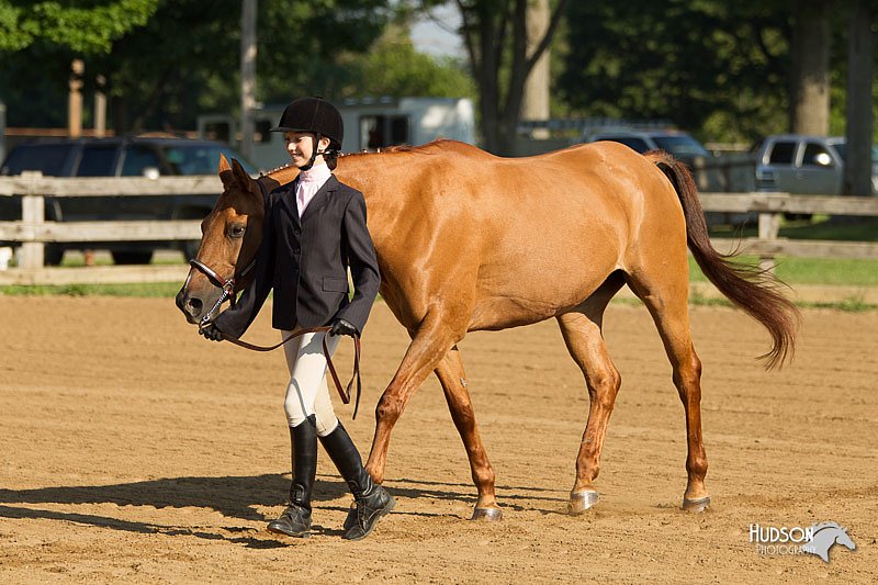 4H-2nd-Show-11_0775.jpg