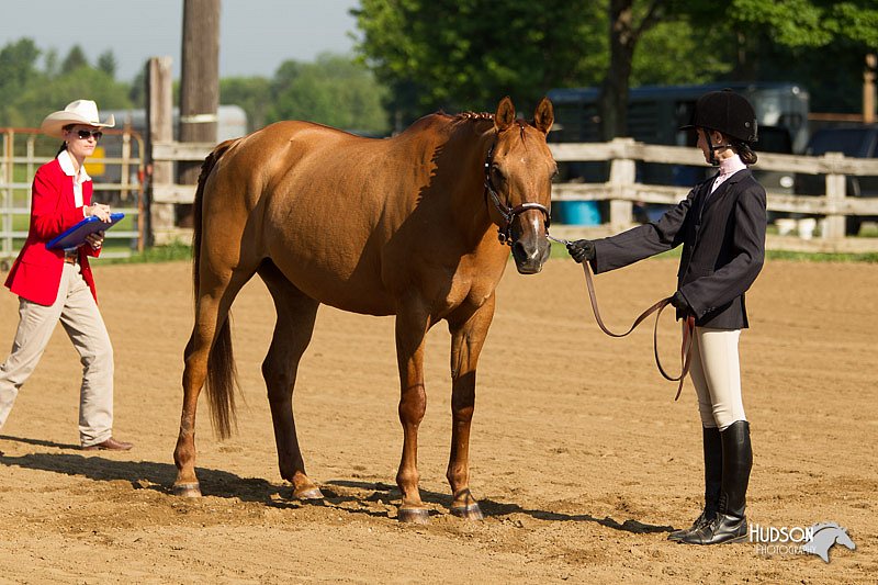 4H-2nd-Show-11_0776.jpg